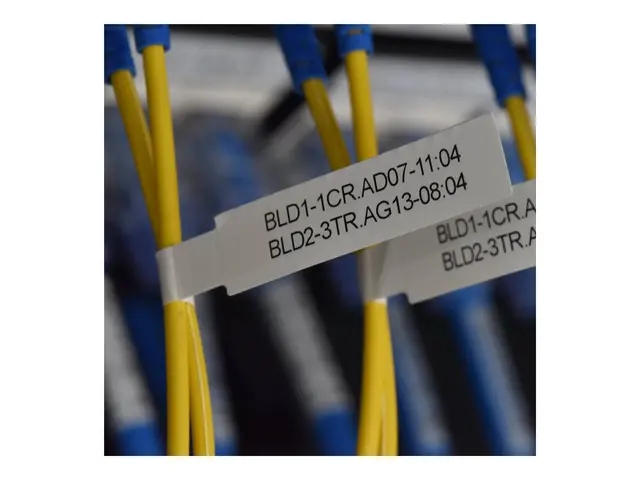 Brother P-Touch Cube Pro PT-E920BT - Etikettskriver - termotransfe...