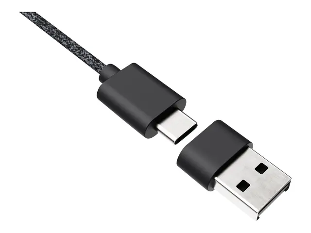 Logitech Zone Wired - Hodesett on-ear kablet USB-C grafitt