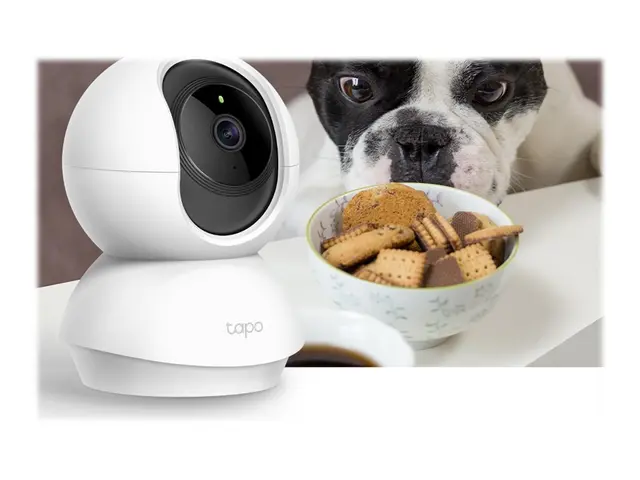 Tapo C200 - Nettverksovervåkingskamera panorering / tipping farge ...