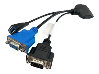 Lenovo ThinkSystem Console Breakout - Tastatur / video / musekabel (KVM) USB-type A, DB-9, HD-15 (VGA) - for ThinkSystem SD650-N V2