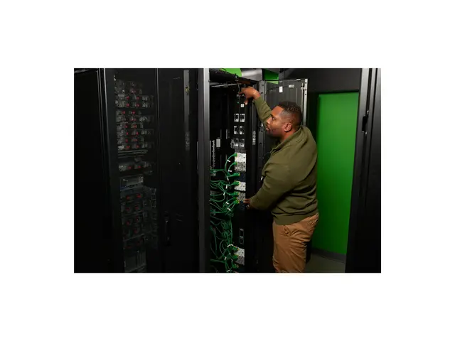 APC NetShelter Rack PDU Advanced - Strømfordelerenhet (kan montere...