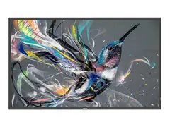 Philips 86BDL3511Q - 86" Diagonalklasse (85.6" synlig) Q-Line LED-bakgrunnsbelyst LCD-skjerm - intelligent skilting - 4K UHD (2160p) 3840 x 2160