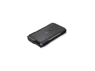 SanDisk Professional PRO-BLADE TRANSPORT SSD - 4 TB - ekstern (bærbar) - USB 3.2 Gen 2x2 (USB-C kontakt)