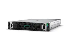 HPE ProLiant DL345 Gen11 - rackmonterbar EPYC 9015 3.6 GHz 64 GB - SSD 2 x 960 GB
