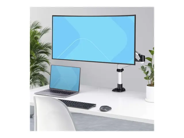 Startech Monitor Desk Mount, VESA 75x75/100x100, 27/30-inch Screen...