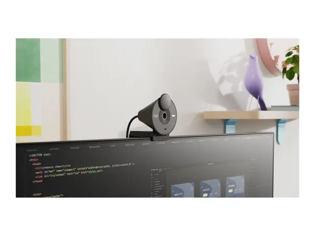 Logitech BRIO 305 - Nettkamera farge 2 MP 1920 x 1080 1080p, 720p ...