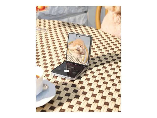 Samsung Galaxy Z Flip6 - Sølvskygget 256 GB 