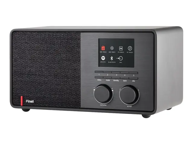 Pinell SuperSound 301 - Bærbar DAB-radio - svart