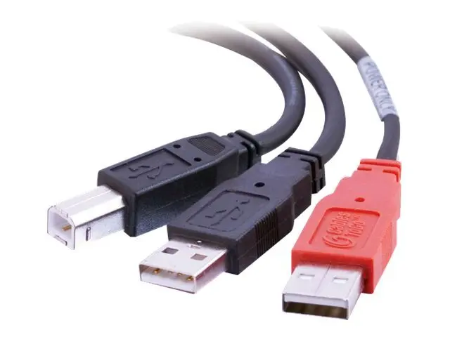 C2G "Y" Cable - USB-kabel - USB-type B (hann) til USB, USB (kun st...