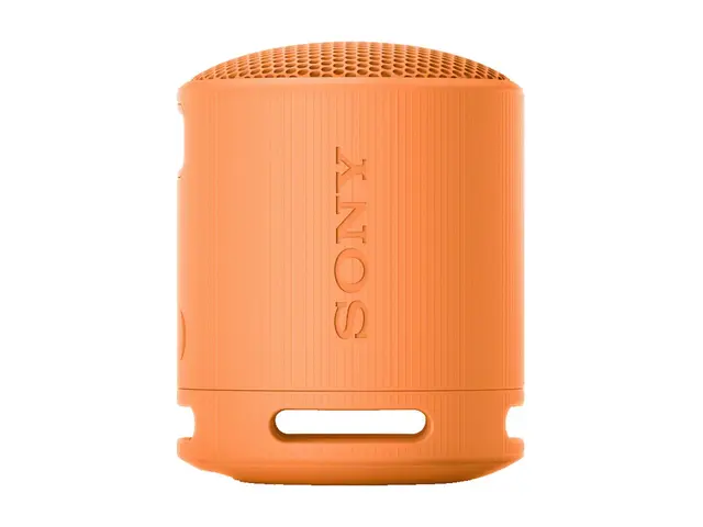 Sony SRS-XB100 - Høyttaler for bærbar bruk trådløs Bluetooth Appst...