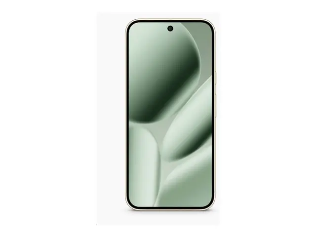 Google Pixel 10 Pro XL - Jade - 256 GB - TN 