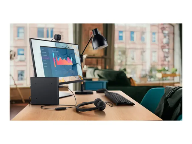 Dell Wired Headset WH3024 - Hodesett on-ear kablet USB-C Certified...