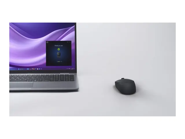 Dell Silent Mouse MS355 - Mus høyre- og venstrehåndet optisk LED 3...