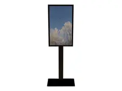 Floorstan P Sams QM55R glass decor Prot