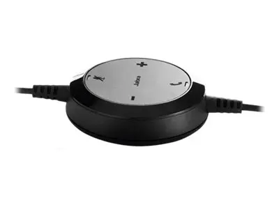 Jabra Evolve 20 UC stereo - Hodesett on-ear kablet USB-C, USB-A ly...