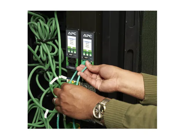 APC NetShelter Rack PDU Advanced - Strømfordelerenhet (kan montere...