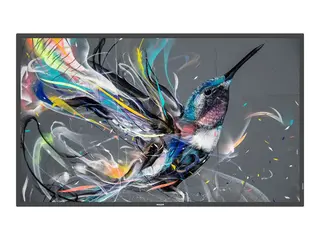 Philips 43BDL3650Q - 43" Diagonalklasse (42.5" synlig) Q-Line LED-bakgrunnsbelyst LCD-skjerm - intelligent skilting - 4K UHD (2160p) 3840 x 2160 - Direct LED