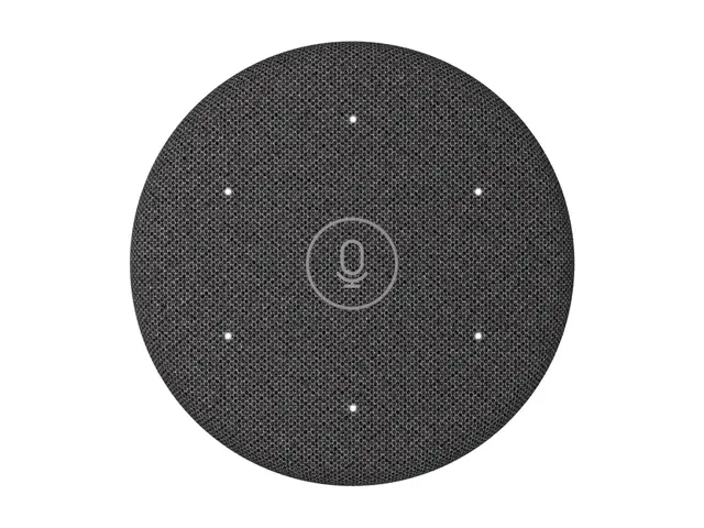 Logitech Rally Mic Pod 2 - Mikrofon - RJ-45 - grafitt