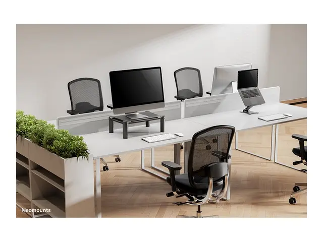 Neomounts NSMONITOR20 - Stativ for skjerm / notebook svart skjerms...