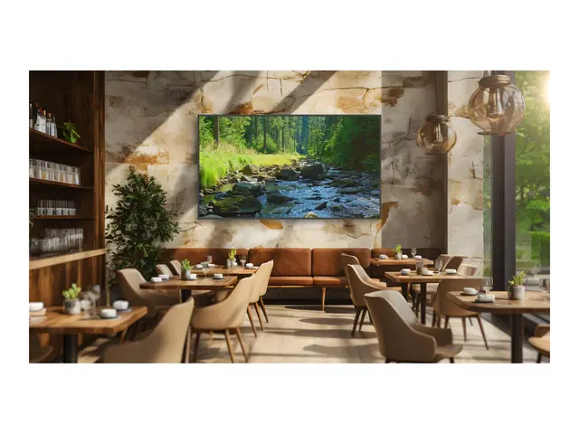 Sony Bravia Professional Displays FW-98BZ53L - 98" Diagonalklasse ...
