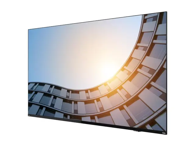Lenovo ThinkVision E65 LFD - 65" Diagonalklasse (64.5" synlig) LED...