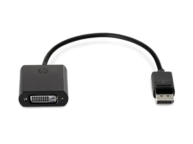 HP - DisplayPort-adapter DisplayPort (hann) til DVI-D (hunn) svart...