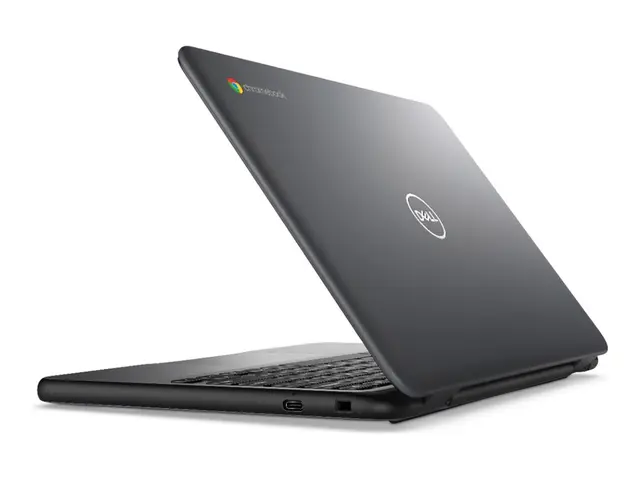 Dell Chromebook 3120 2in1 (2024) - 11.6" Intel N-series N100 4 GB ...