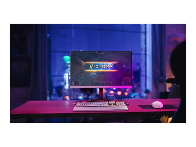 Philips Evnia 3000 27M2N3501PA - LED-skjerm gaming 27" 2560 x 1440...