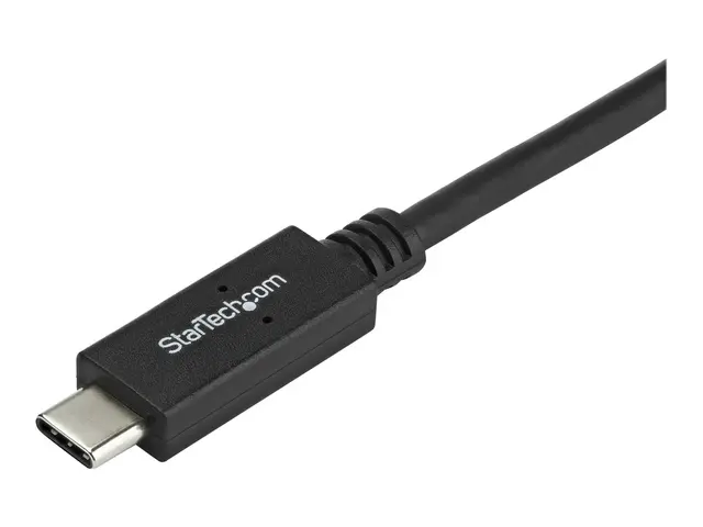 StarTech.com USB-C to DVI Cable - 6 ft / 2m 1080p 1920x1200 Monito...