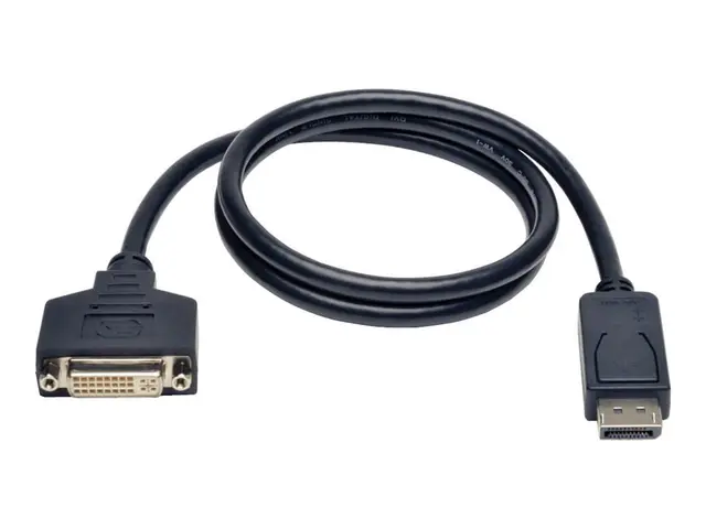 Eaton Tripp Lite Series DisplayPort to DVI Cable Adapter, Converte...
