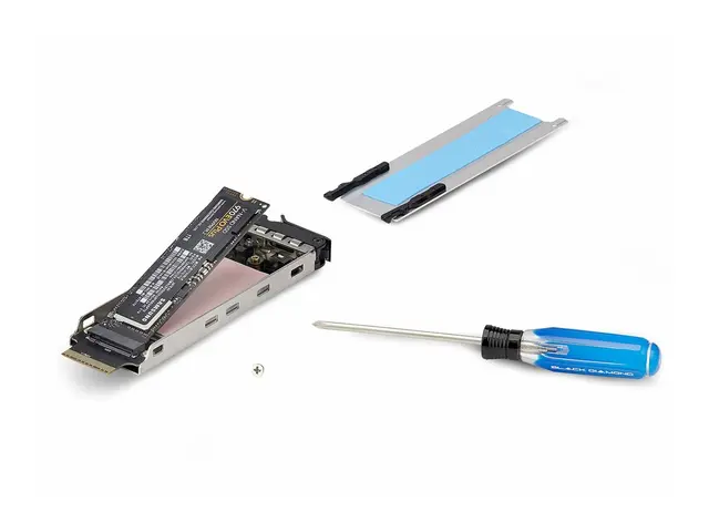 Startech Dual-Bay M.2 NVMe SSD Removable Mobile Rack for PCIe x8 S...