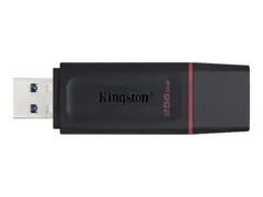 Kingston DataTraveler Exodia - USB-flashstasjon 256 GB - USB 3.2 Gen 1 - svart/rosa