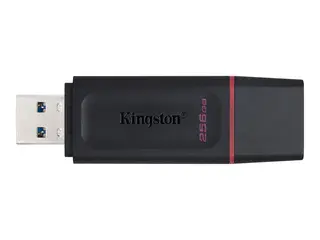 Kingston DataTraveler Exodia - USB-flashstasjon 256 GB - USB 3.2 Gen 1 - svart/rosa
