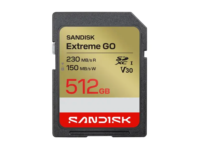 SanDisk Extreme Go - Flashminnekort - 512 GB - Video Class V30 / U...