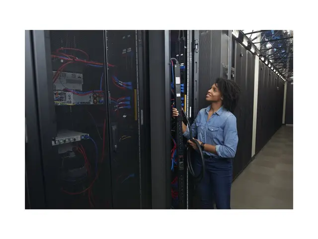 APC Rack PDU 9000 Switched APDU9941 - Strømfordelerenhet (kan mont...