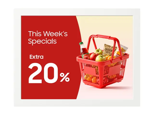 Samsung EM13DX - 13" Diagonalklasse (13.3" synlig) EMDX series e-P...