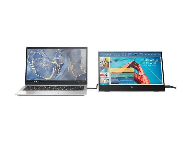 HP E14 G4 Portable - LED-skjerm 14" portabel 1920 x 1080 Full HD (...