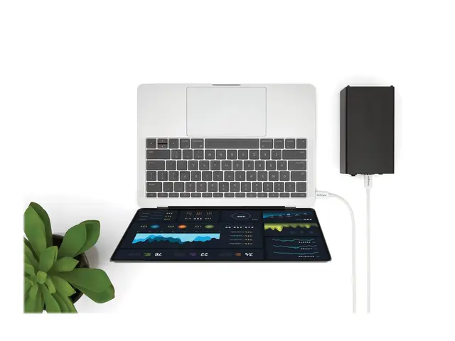 StarTech.com 3.3ft (1m) Thunderbolt 3 Cable, 20Gbps, 100W PD, 4K V...