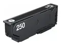 Epson 250 - 5.3 ml - svart - original - blære med RF/lyd-alarm blekkpatron - for P/N: C11CL95402