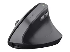 Trust TM-270 - Mus - ergonomisk - h&#248;yrehendt optisk - 6 knapper - tr&#229;dl&#248;s - 2.4 GHz - USB tr&#229;dl&#248;s mottaker - svart