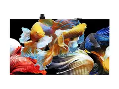 LG MAGNIT LMPB007BANA - LMPB Series LED display unit intelligent skilting 384 x 144 (LED-enhet) / 768 x 432 (skap) per enheet - Chip On Board (CoB) - HDR