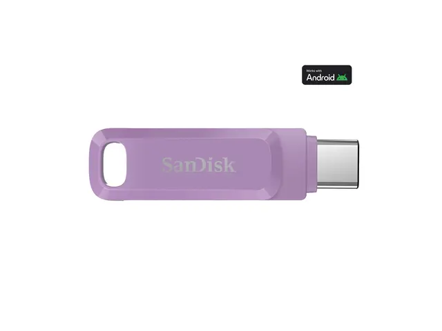 SanDisk Ultra Dual Drive Go - USB-flashstasjon 2 TB USB 3.2 Gen 1 ...