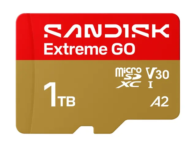 SanDisk Extreme Go - Flashminnekort 1 TB A2 / Video Class V30 UHS-...