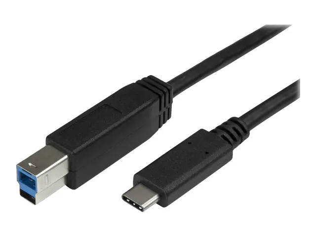 StarTech.com USB C to B Printer Cable - 6 ft / 2m Type (USB315CB2M...