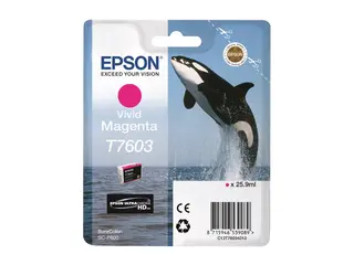 Epson T7603 - 25.9 ml - livlig magenta original - blister - blekkpatron - for SureColor SC-P600