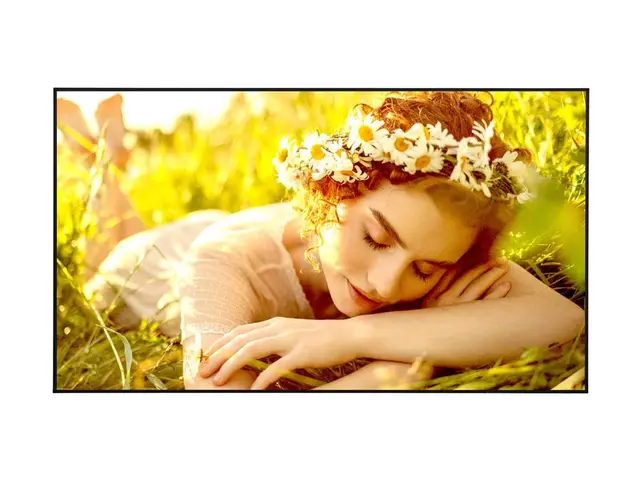 LG 86UL5Q-E - 86" Diagonalklasse UL5Q-E Series LED-bakgrunnsbelyst...