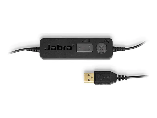 Jabra BIZ 1100 USB Duo - Hodesett on-ear kablet svart akademisk Ce...