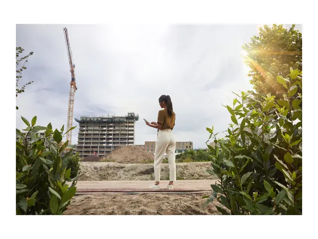 HP DesignJet T250 - 24" storformatsskriver farge ink-jet A1, ANSI ...