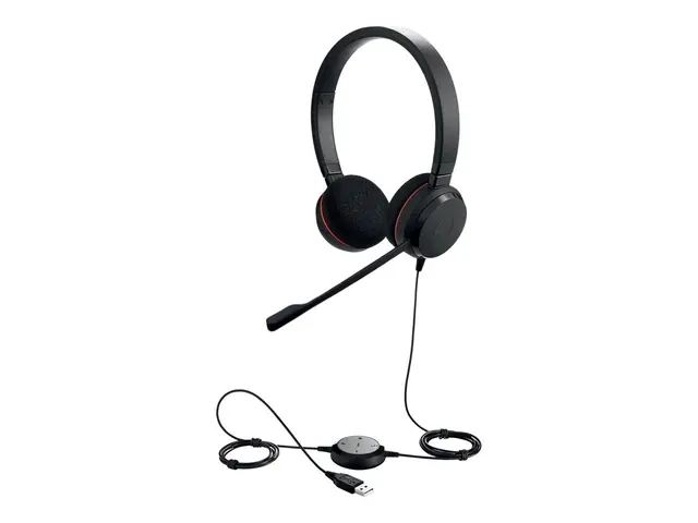 Jabra Evolve 20 UC stereo - Hodesett - on-ear - kablet - USB