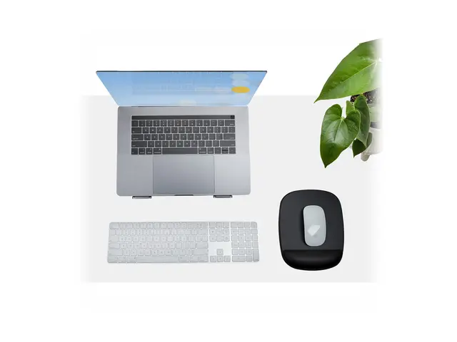 StarTech.com Mouse Pad with Hand rest, 6.7x7.1x 0.8 in (17x18x2cm)...